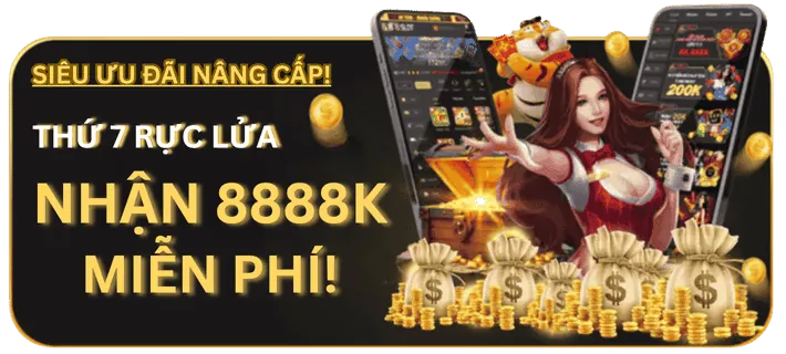 Hoàn trả thể thao New88011