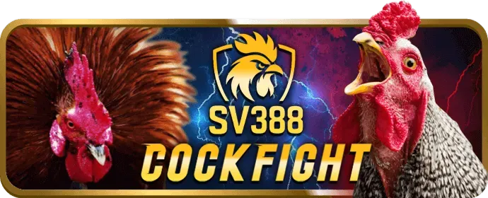 Tiền thưởng chào mừng tại new88011